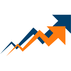 How is Digi Orion Helping Entrepreneurs and Small Businesses?